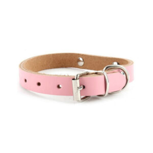 Collar de perro personalizable