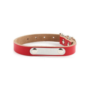 Collar de perro personalizable